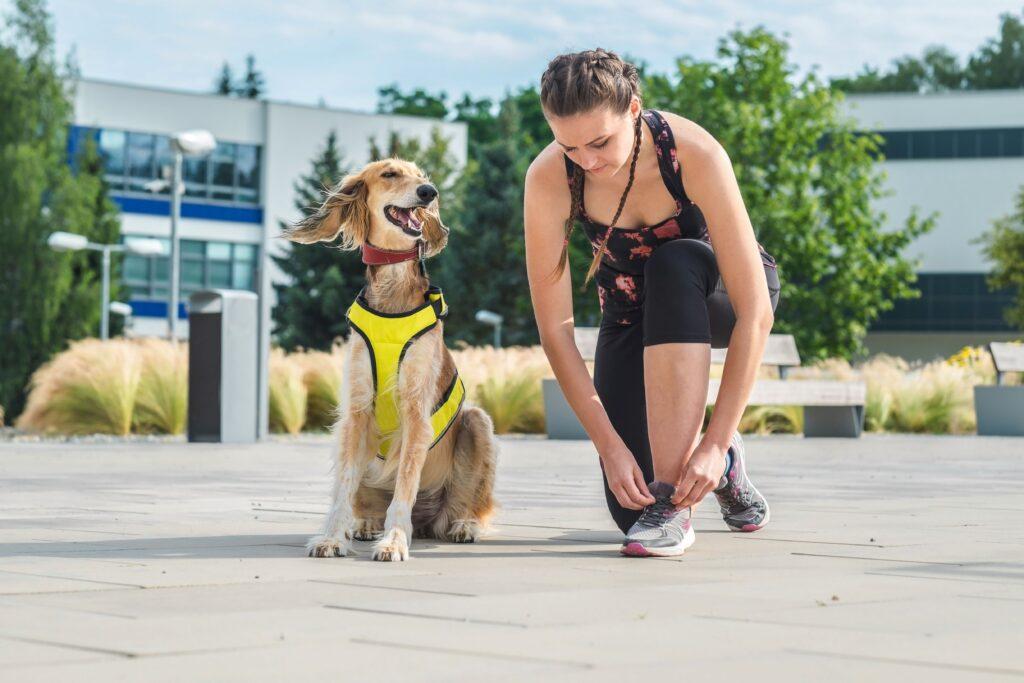 Hund Sport