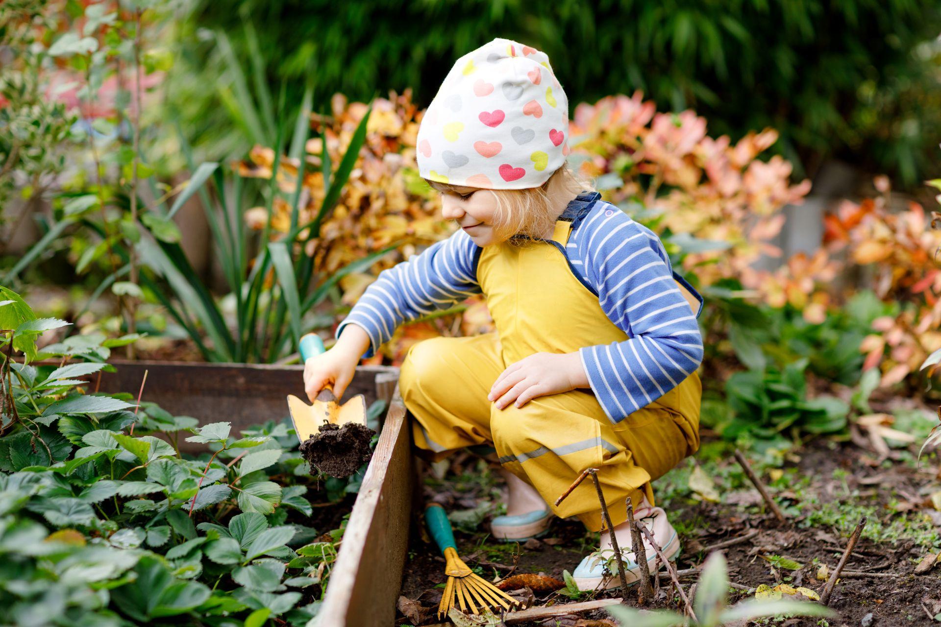 Kleinkind gaertnert im Garten und pflanzt mit Freude eigenes Gemuese